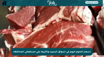 أسعار اللحوم اليوم في أسواق البحيرة وتأثيرها على مستهلكي المحافظة